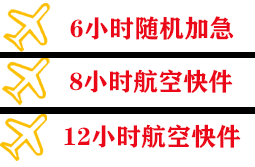 伊尔施航空货运快递公司,专业空运当天件